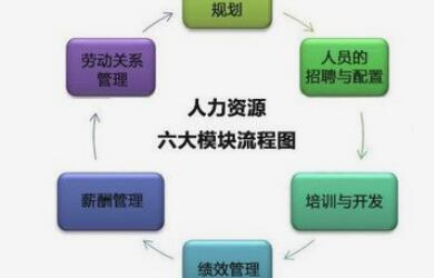 国企使用数字化eHR系统需要注意哪些？